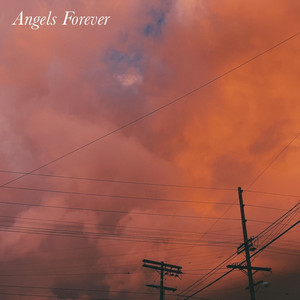 Angels Forever - Cover