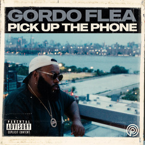 Pick Up The Phone by Gordo Flea