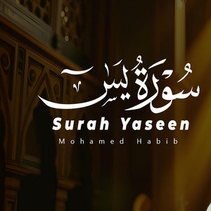 Mohamed Habib - Surah Yaseen (سورة يس كاملة)