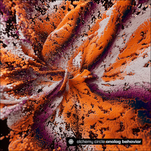 Analog Behavior by Alchemy Circle