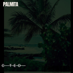 Palmita by C TEO
