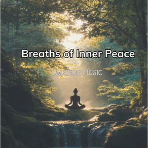 Breathing in Clear Light by Calynor Music