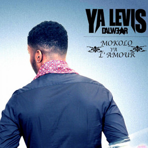 YA Levis Dalwear
