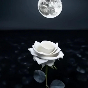 Ordinary Beauty by Huston Moon