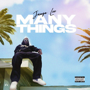 Manythings by JANGZ