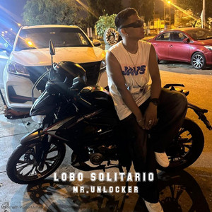 LOBO SOLITARIO by MR.UNLOCKER
