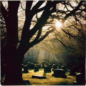 I Don't Know What I'm Doing Anymore