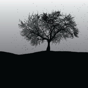 Final Bloom by Hollow Notes