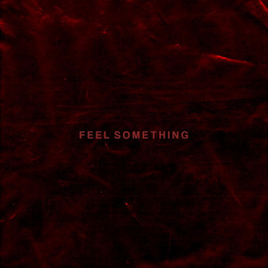 Feel Something by RYLS