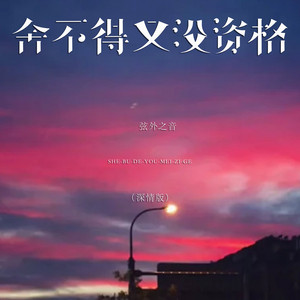 舍不得又没资格 - DJ小行版 by 弦外之音, DJ小行