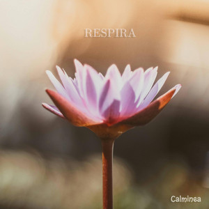 Permítete sentir by Calminea