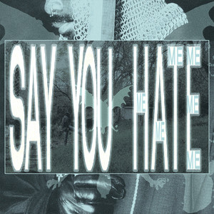 say you hate me by heavn