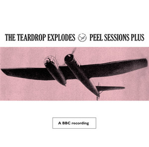 Peel Sessions Plus (BBC Version) - Album by The Teardrop Explodes