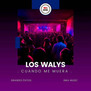 Los Walys - No nos Comprendemos