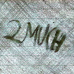 2 Much (Sped Ver) by HUAN