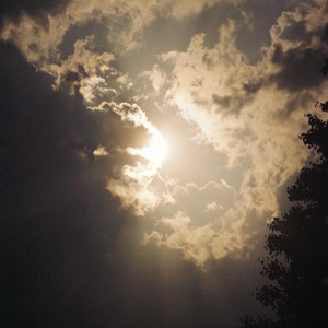 Dreams by Webzze