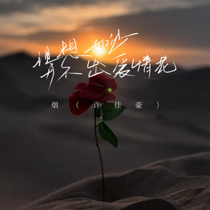 理想如沙开不出爱情花 - 伴奏 by 烟