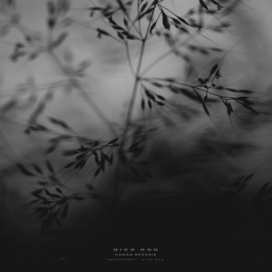 Sage Murmur by Nico Ono