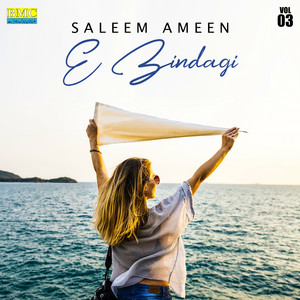 Saleem Amin - Oh Bewafa Gon Maa