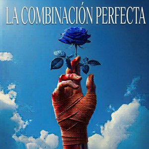 La Combinacion Perfecta by DOMINIO B MC