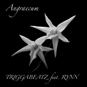 Angraecum (feat. RYNN) by TRIGGA BEATZ, Rynn