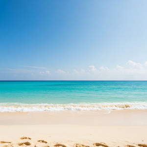 Palm Shore by N1GNTNGII