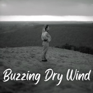 Buzzing Dry Wind album