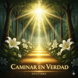 CAMINAR EN VERDAD by Benjamillions