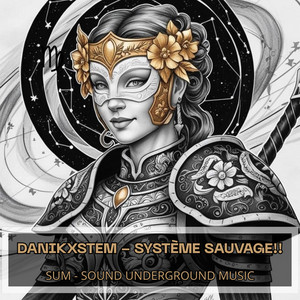 DaniKXsteM poster