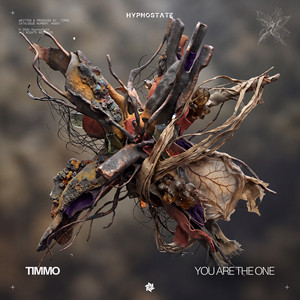 You Are the One by Timmo