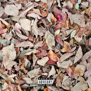 Portada de Leaves