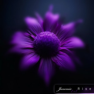Junemix - Rise