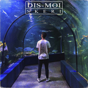 Portada de Dis-moi