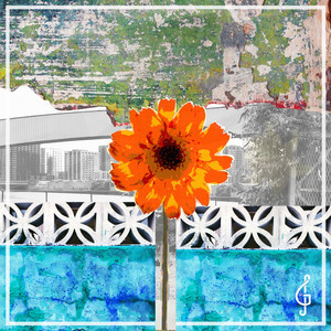 Flowers by GeeJay