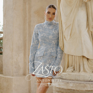 Zašto by Antoniette