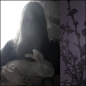 Where I Erode by wooden lamb