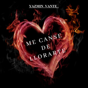 ME CANSE DE LLORARTE by Yazmin Vanté