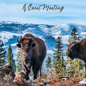 All the Pretty Little Horses — cover art by Horse To Water