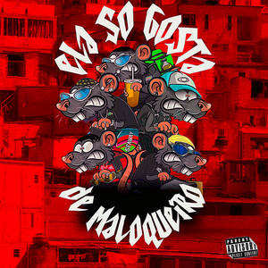 Ela Só Gosta de Maloqueiro (feat. BigStraik)