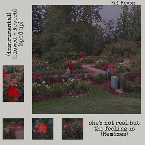 She's not real but the feeling is (Slowed + Reverb) [instrumental] by Kai Revon