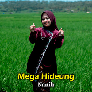 Mega Hideung by Nanih