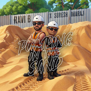 Pumping in D Sand - Remix by Ravi B, Suresh Maraj