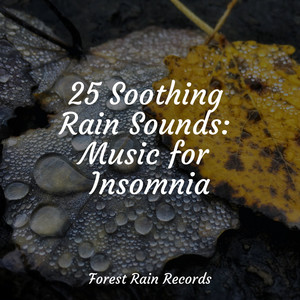 25 Soothing Rain Sounds: Music for Insomnia album