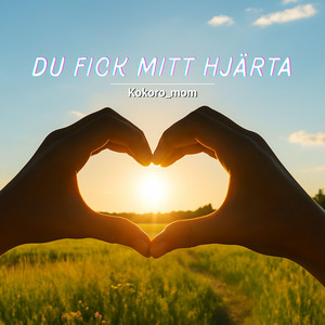 Du Fick Mitt Hjärta