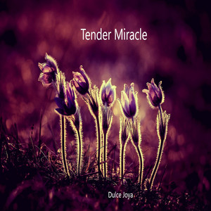 Tender miracle - Single by Dulce Joya León | Spotify