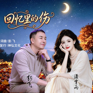 回忆里的伤(对唱版) by 彭飞, 潇霄雨