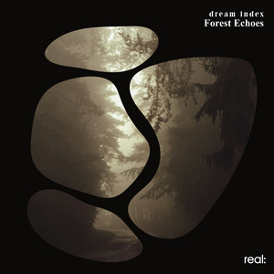 Forest Echoes by dream index