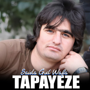 Saida Gul Wafa - Da Shundo Jung Rasara Waka