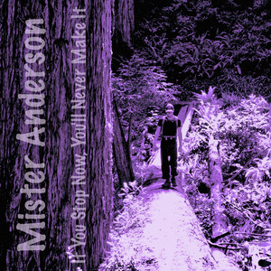 If You Stop Now, You'll Never Make It by Mister Anderson