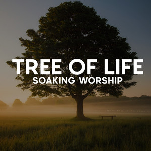 Josué Novais Piano Worship - Tree of Life Soaking Worship